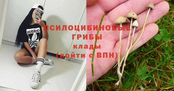 меф Бородино