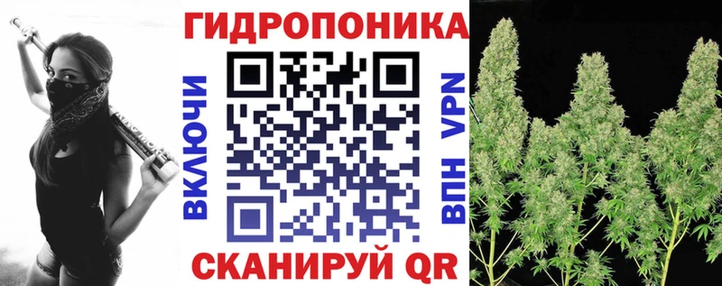 kraken ссылки Магнитогорск Канабис конопля